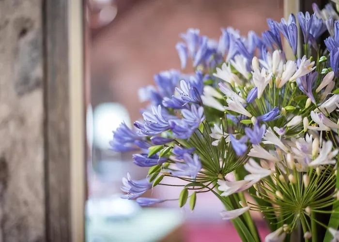 Hacienda * לה אורוטבה